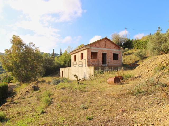 Terreno, Coin
