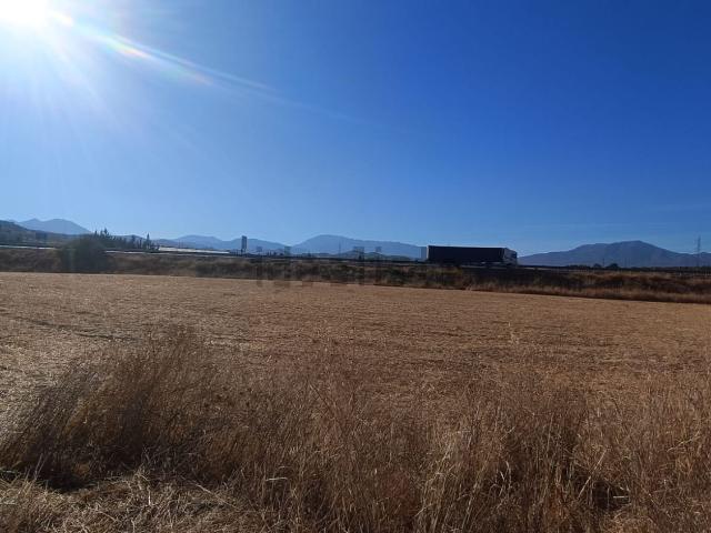Terreno, Coin