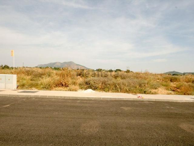 Terreno, Coin
