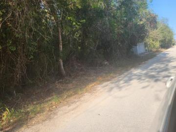 Terreno Col Alfredo Bonfil Cancun