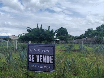 Terreno Col emiliano zapata