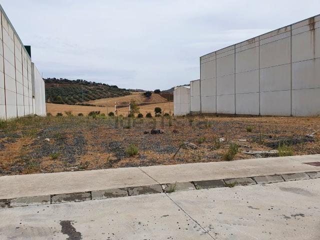 Terreno, Colmenar