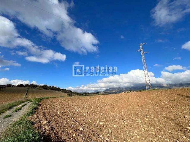 Terreno, Colmenar