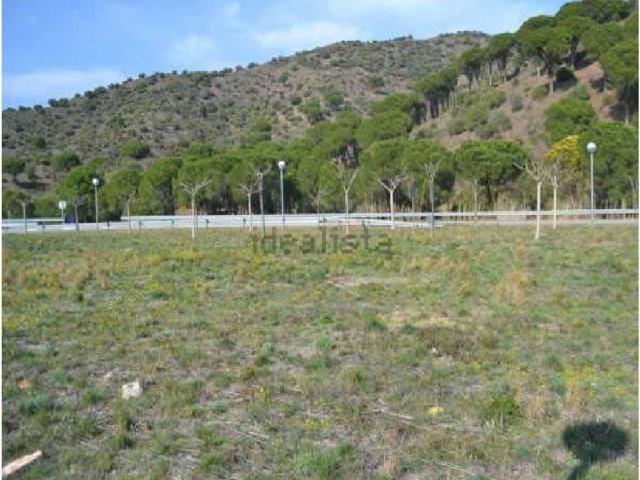 Terreno, Colera