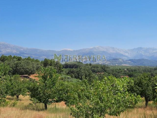Terreno, Collado