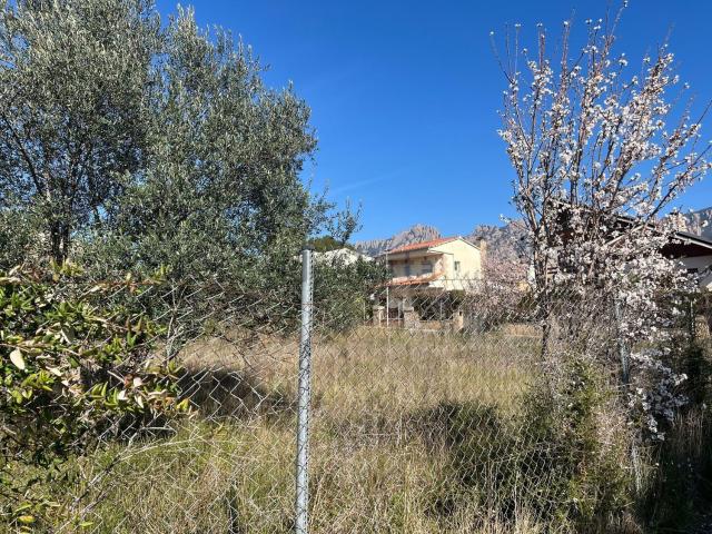 Terreno, Collbató