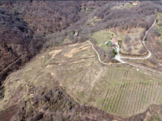 TERRENO COLLINARE IN AFFITTO A MANTA