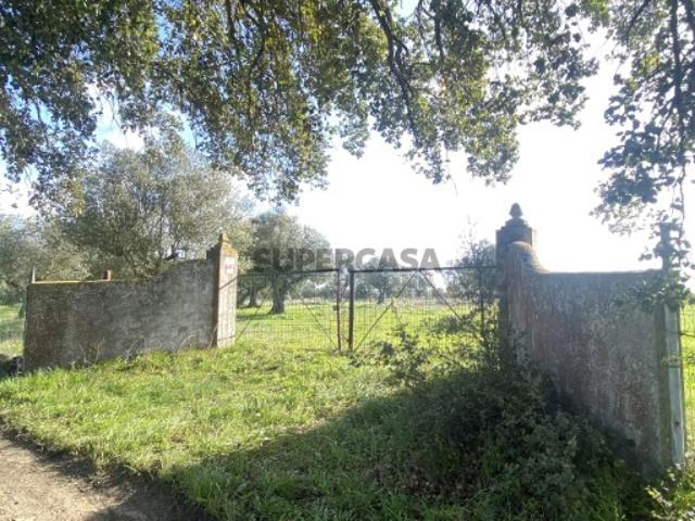 Terreno com 43.200m2 com casa para remodelação no Vale de Santarém