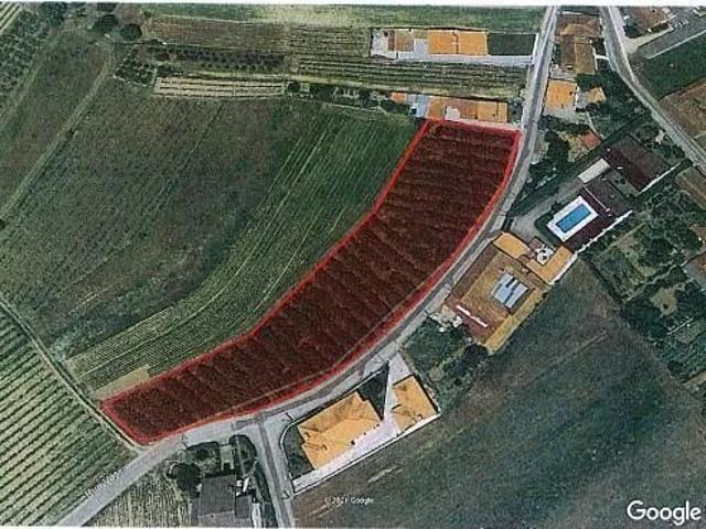 Terreno com 4195m2 em Oiã, Oliveira do Bairro