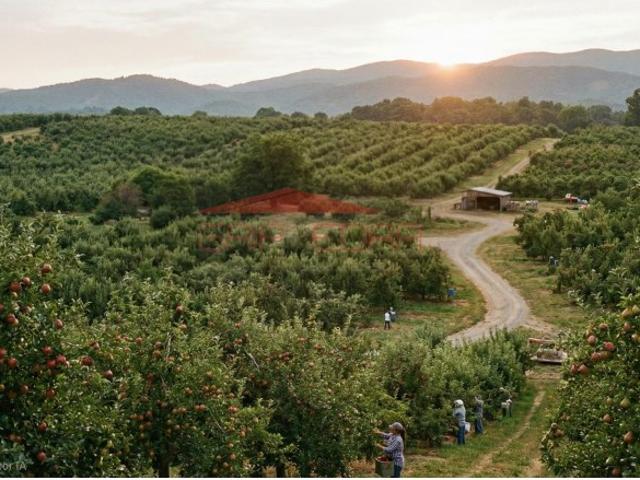Terreno Estratégico com 4,27 Hectares Vale da Rosa / Manteigadas, Setúbal