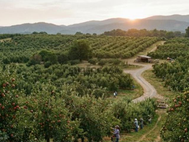 Terreno Estratégico com 4,27 Hectares Vale da Rosa / Manteigadas, Setúbal