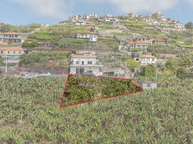 Terreno com 445 m², localizado no sítio do Ribeiro Real, em. 445m² Câmara De Lobos