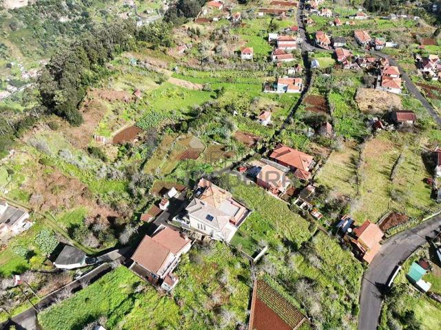 Terreno com 4460m2 Achada do Cedro Gordo São Roque do Faial
