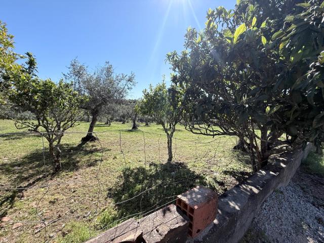 Terreno com 4500 m2| Hortas de Cima