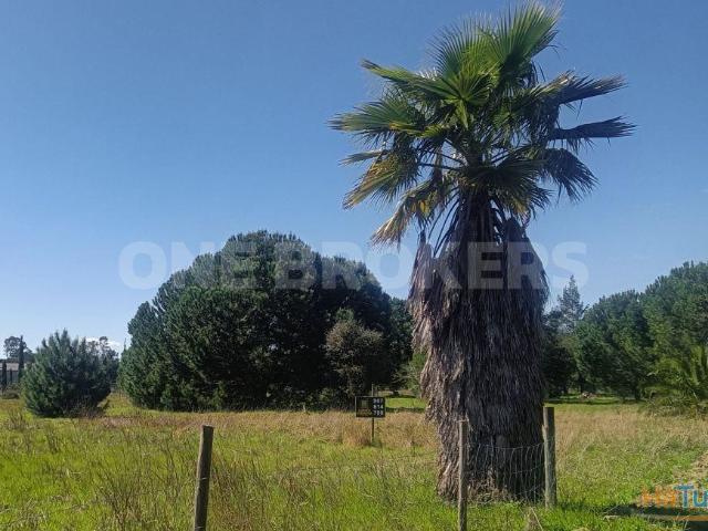 Terreno com 48m | 26063920460