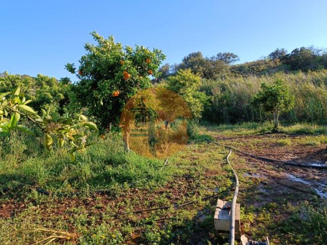 TERRENO COM 4.880 M2 HORTA COM ÁGUA DE REGA E NORA RIO SECO CASTRO MARIM ALGARVE