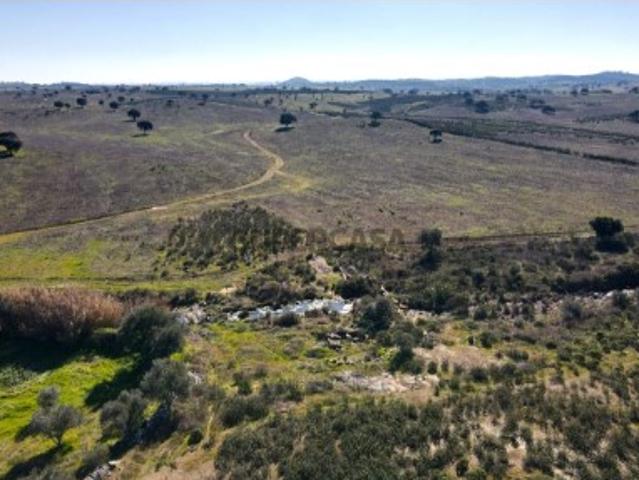 Terreno com 4,9 hectares Atravessado por Ribeira Santa Cruz Almodôvar