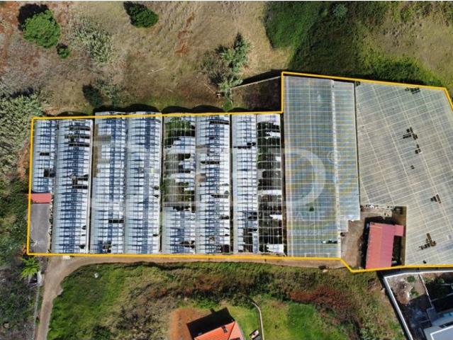 Terreno com 5000 m2 com projeto para construir 5 moradias
