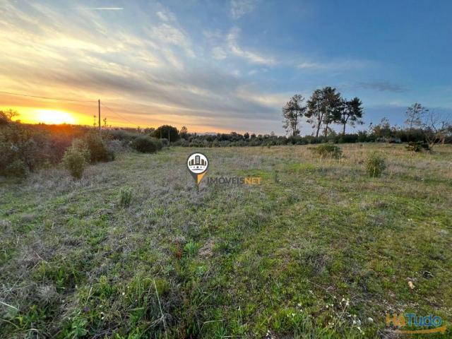 Terreno com 5750m2, Venda, Castelo Branco | 26083897452