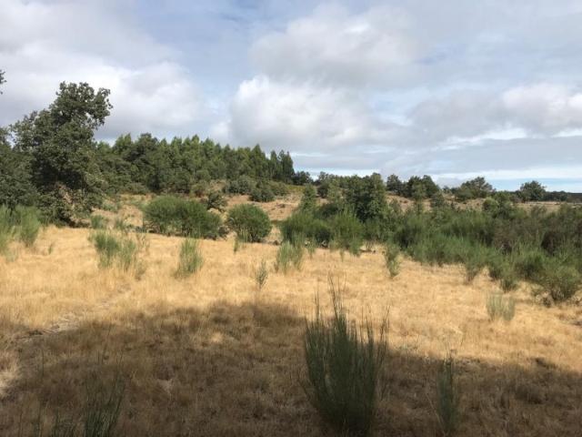 Terreno com 5 hectares EM PERTAROUCA