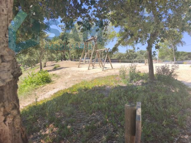 Terreno com 5.080 m² e Ruína T2 | Junto à Barragem de Magos