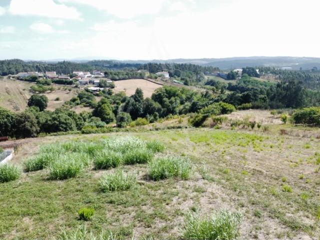 Terreno com 5.000 m² | Projeto Aprovado para 4 Moradias Casal do Souto, Caldas da Rainha
