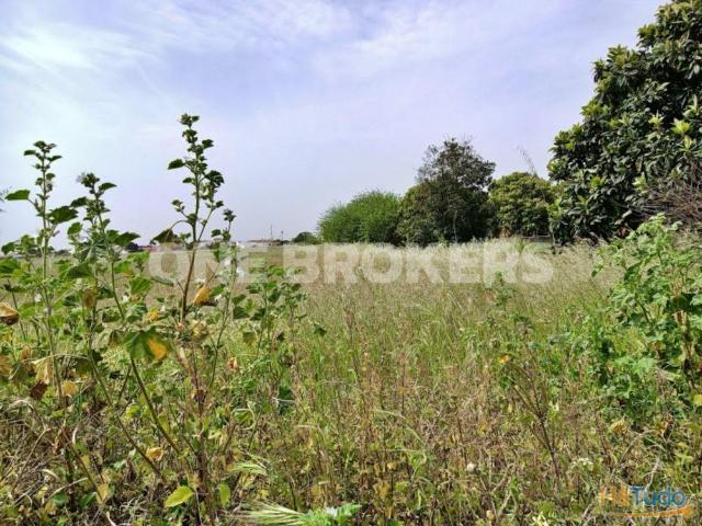 Terreno com 5.000m² no Centro de Marinhais | 26073529301
