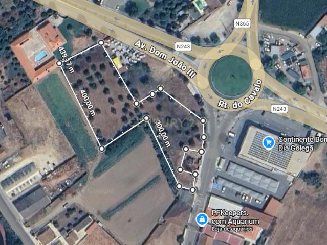 Terreno com 5.582 m² para Construção – Entrada da Golegã