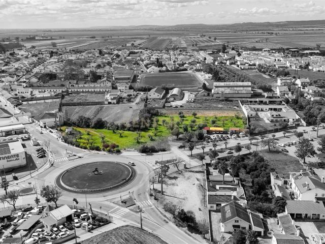 Terreno com 5.582 m² para Construção – Entrada da Golegã m² Golegã