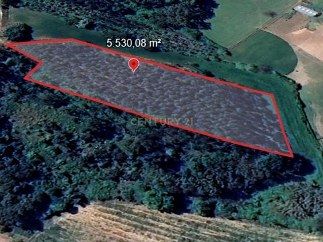 Terreno entre Caldas da Rainha e Benedita e próximo da freguesia de Santa Catarina