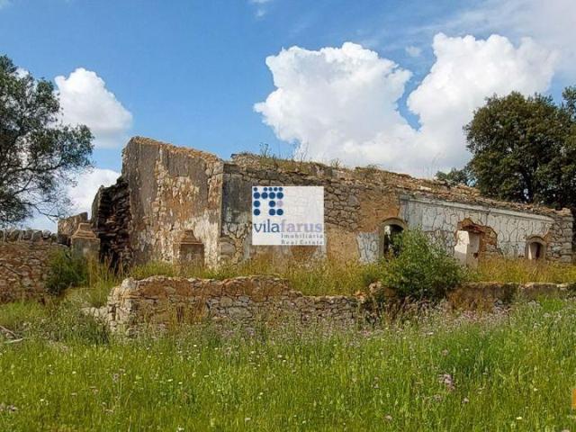 Terreno com 5.880m2 e ruína | 26063564323