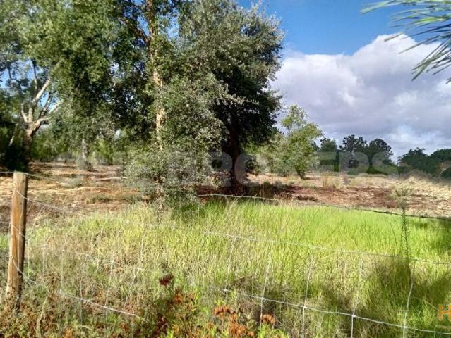 Terreno com 6500m² com 40m de Frente | 26073529295