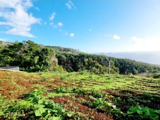 Terreno com 650 m2