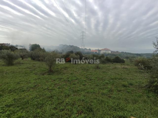 Terreno com 6720m² Casais, Tomar