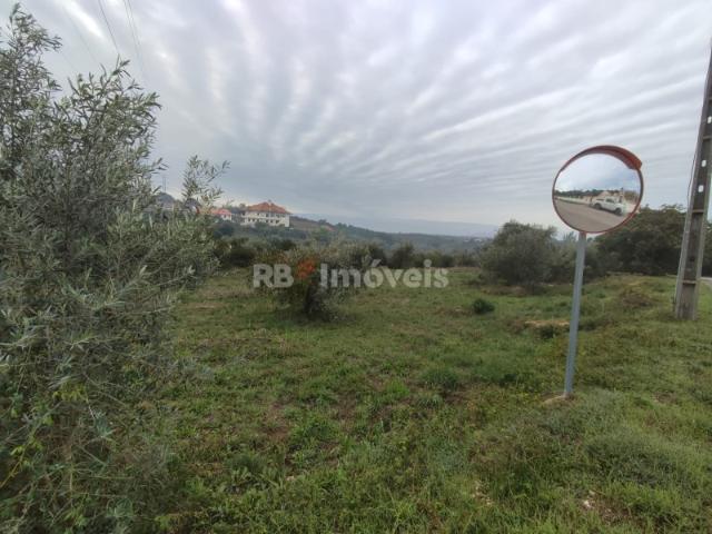 Terreno com 6720m² Casais, Tomar