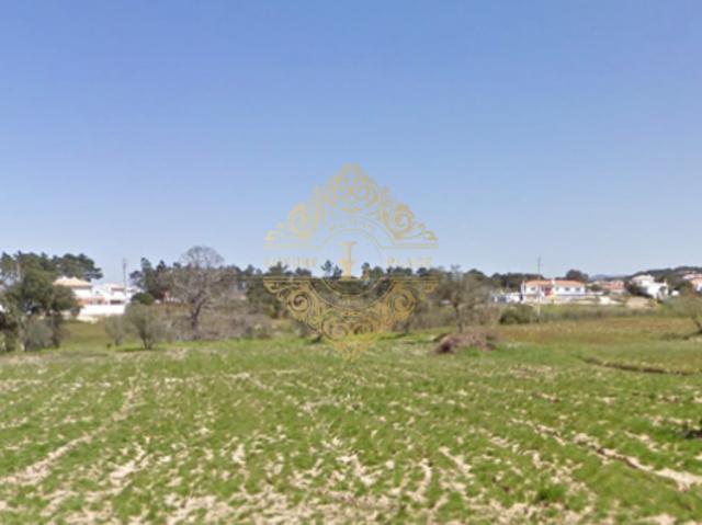 Terreno com 6750m2 e 130m2 de Construção | 26063919440