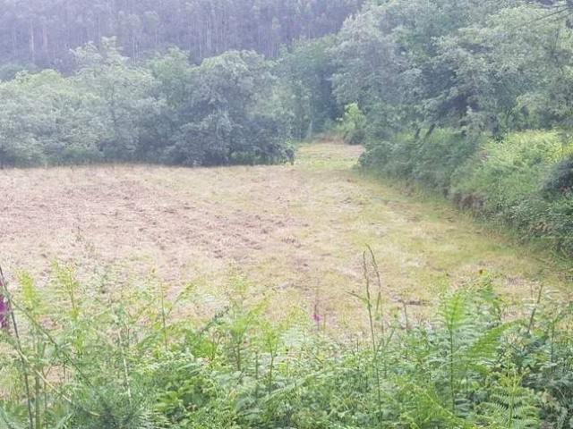 Terreno com 6.000 m2 – Oportunidade Única em Localização Privilegiada