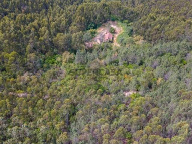 Terreno com 70 ha + ruína em Marmelete, Algarve