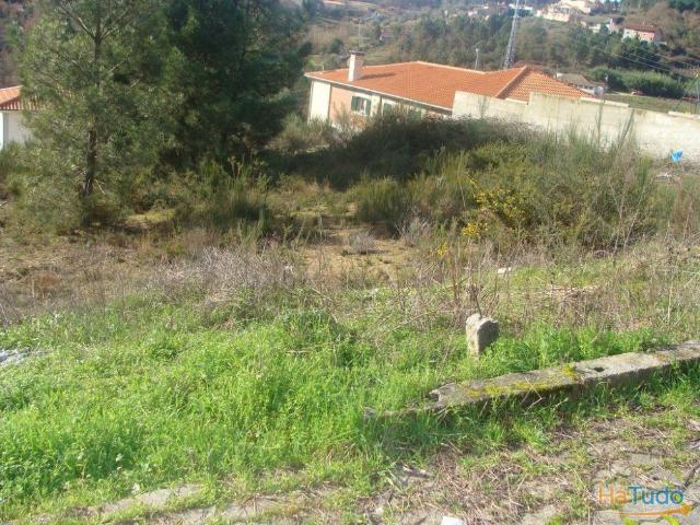 Terreno com 770m2 | 26061775613