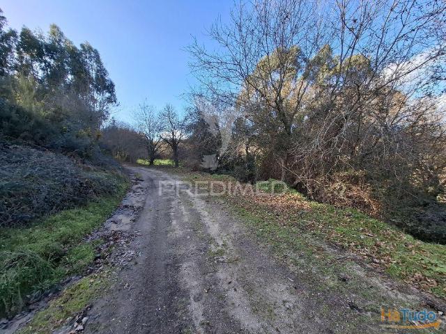 Terreno com 7900 m² em Codeceda, Vila Verde Braga | 26084094159