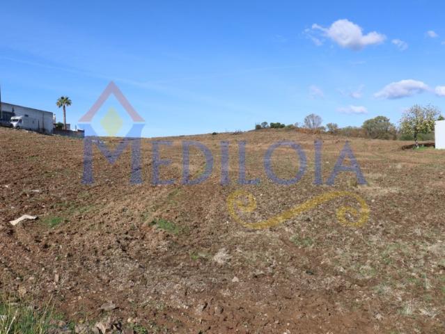 Terreno com 80.000 m² Excelente Localização e Potencial Agrícola