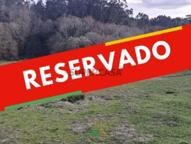 Terreno com 8000m2 na Miranda