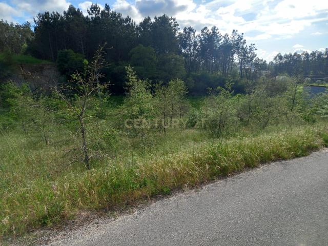 Terreno com 800 m2 em Barbas Novas