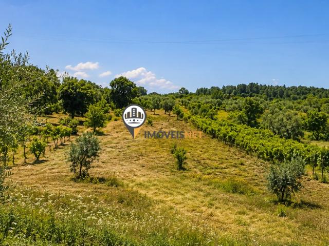 Terreno com 8200 m2 com poço, Venda, Sobral do Campo