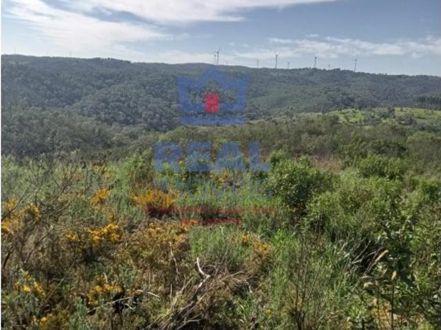 Terreno com 84,6325 ha e dois artigos urbanos