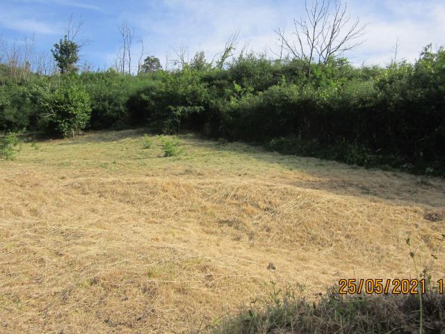 Terreno com 8520m2