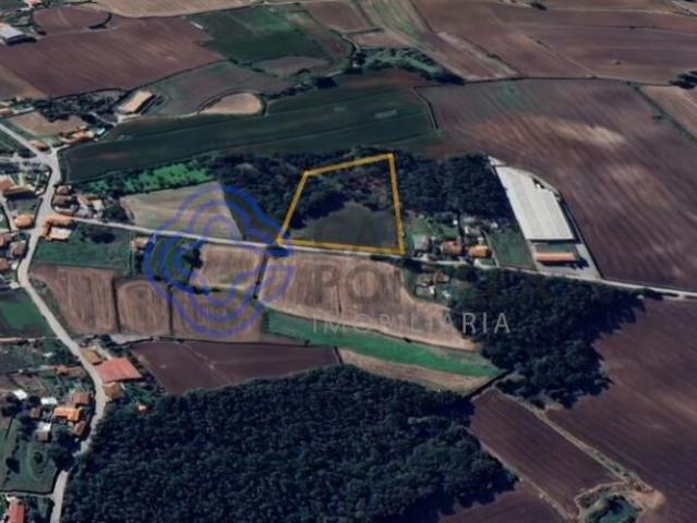 Terreno com 8.200 m² Vila do Conde