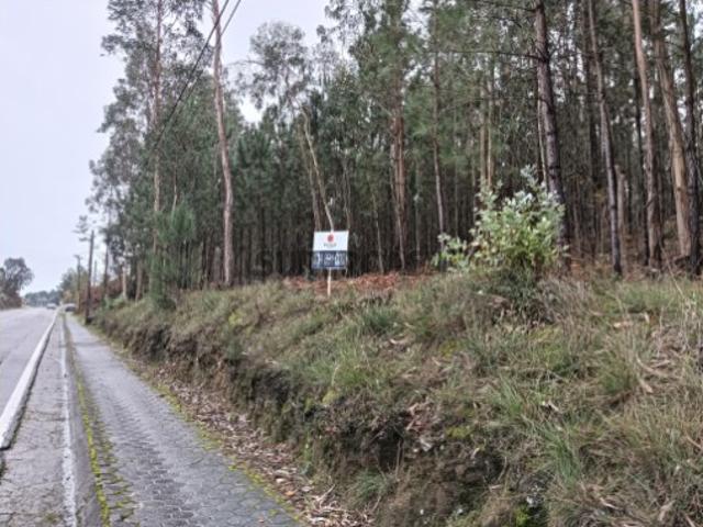 Terreno com 90 m de frente Aveiro