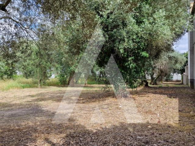 Terreno com 915m2 em Ortigosa,Leiria