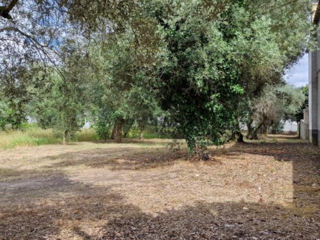 Terreno com 915m2 em Ortigosa,Leiria